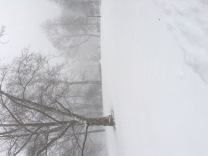 Snowstorm Jan 16 26.8 inches in cPK